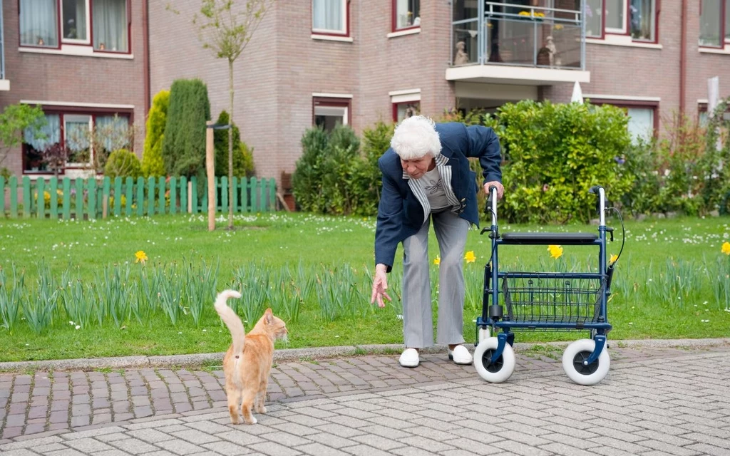 Jakie wypłaty wpłyną na konta seniorów w sierpniu?