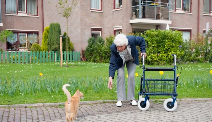 Jakie wypłaty wpłyną na konta seniorów w sierpniu?