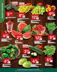 Chata Polska - Nowe oferta promocyjna