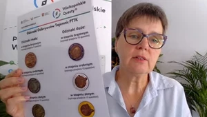Nomada: Odznaki, zagadki, wzruszenia. Oto Wielkopolska jakiej nie znacie