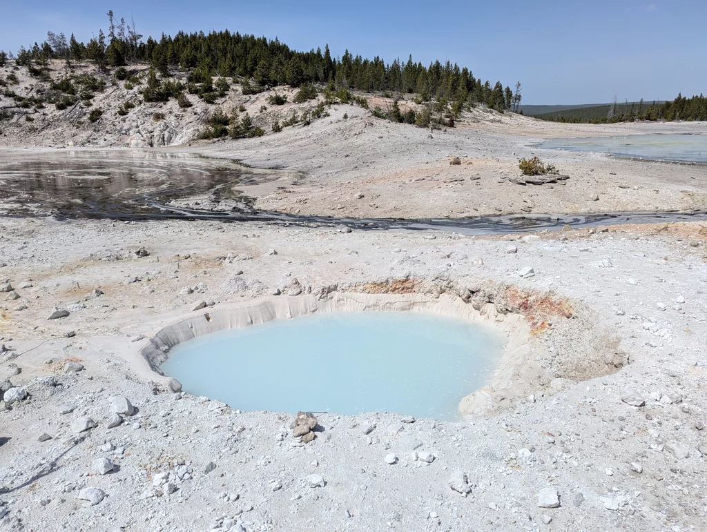 Widok z północnego zachodu na nowy basen termalny w rejonie Porcelain Basin w Norris Geyser Basin w Parku Narodowym Yellowstone, który prawdopodobnie powstał w wyniku serii łagodnych eksplozji Jasnoniebieskie gorące źródło otoczone jasną mineralną ziemią z niewielką ilością roślinności, w tle widoczna zielona linia drzew i łagodnie pagórkowaty teren.