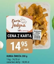 Kurka