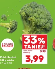 Брокколі Polski