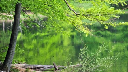 Malownicze Jeziorka Duszatyńskie — warto je odwiedzić podczas wycieczki w Bieszczady