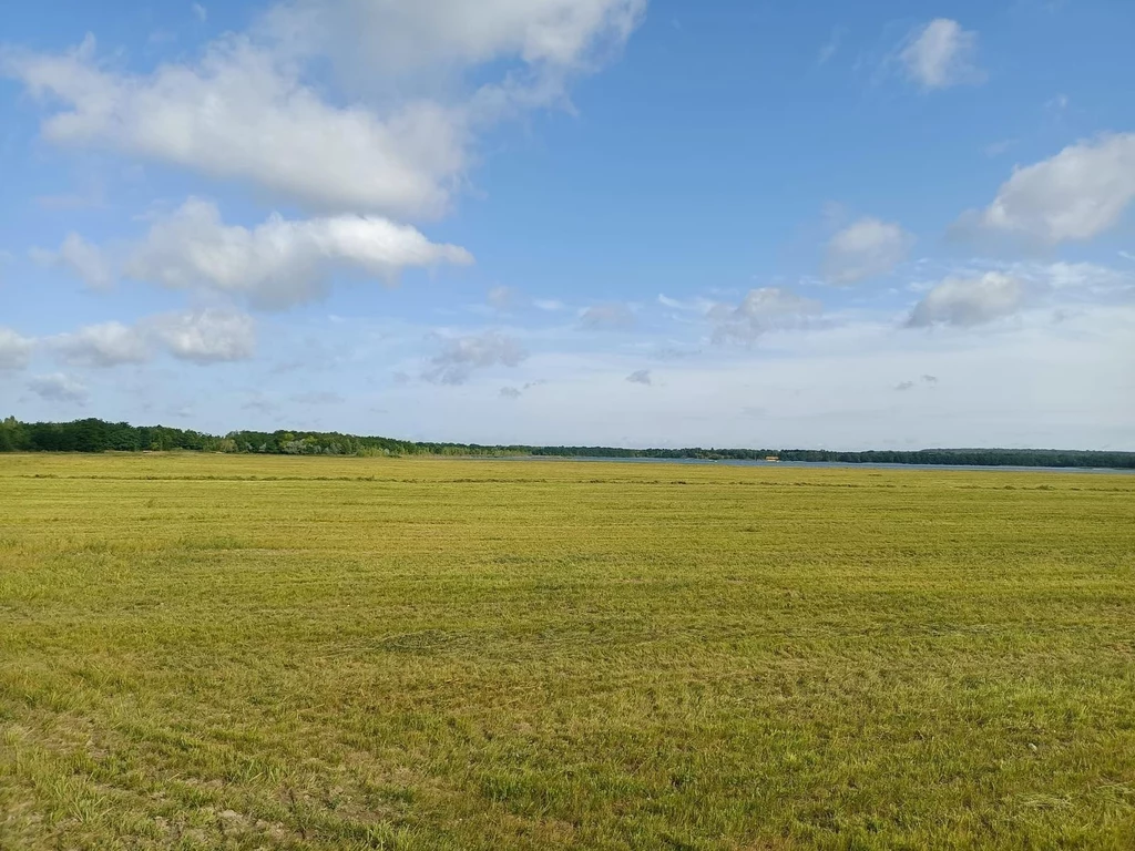 Plaże popiołowe wokół zbiornika w Przykonie po rekultywacji i obsianiu Rozległa, zielona łąka sięgająca po horyzont, z niebem pokrytym pojedynczymi, białymi chmurami oraz pasmem drzew widocznym w oddali.