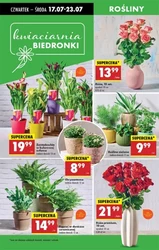 Ще нижчі ціни в Biedronka