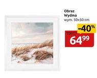 Obraz