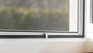 Jeden błąd i będzie do wyrzucenia. Zwróć uwagę na miękkość włosia