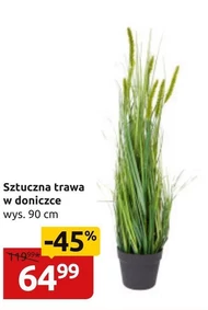 Trawa w doniczce
