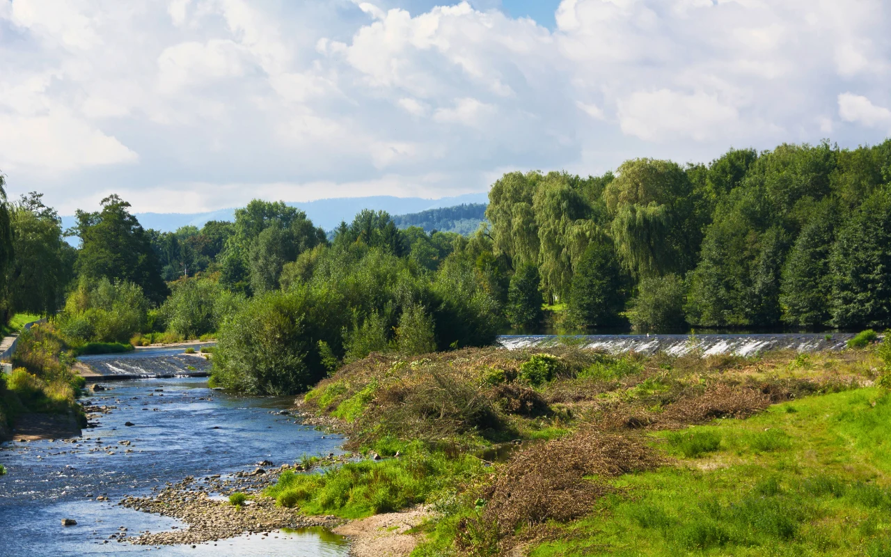 Nysa Kłodzka jest idealna na ciekawy spływ kajakowy