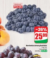 Borówka amerykańska Polski