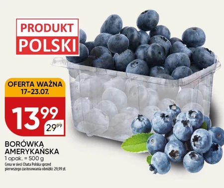 Чорниця Chata polska