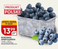Чорниця Chata polska