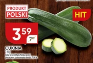 Кабачок Chata polska
