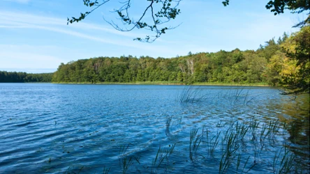 Jezioro Czajcze na Wolinie wyróżnia się kształtem 