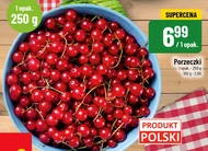 Смородина