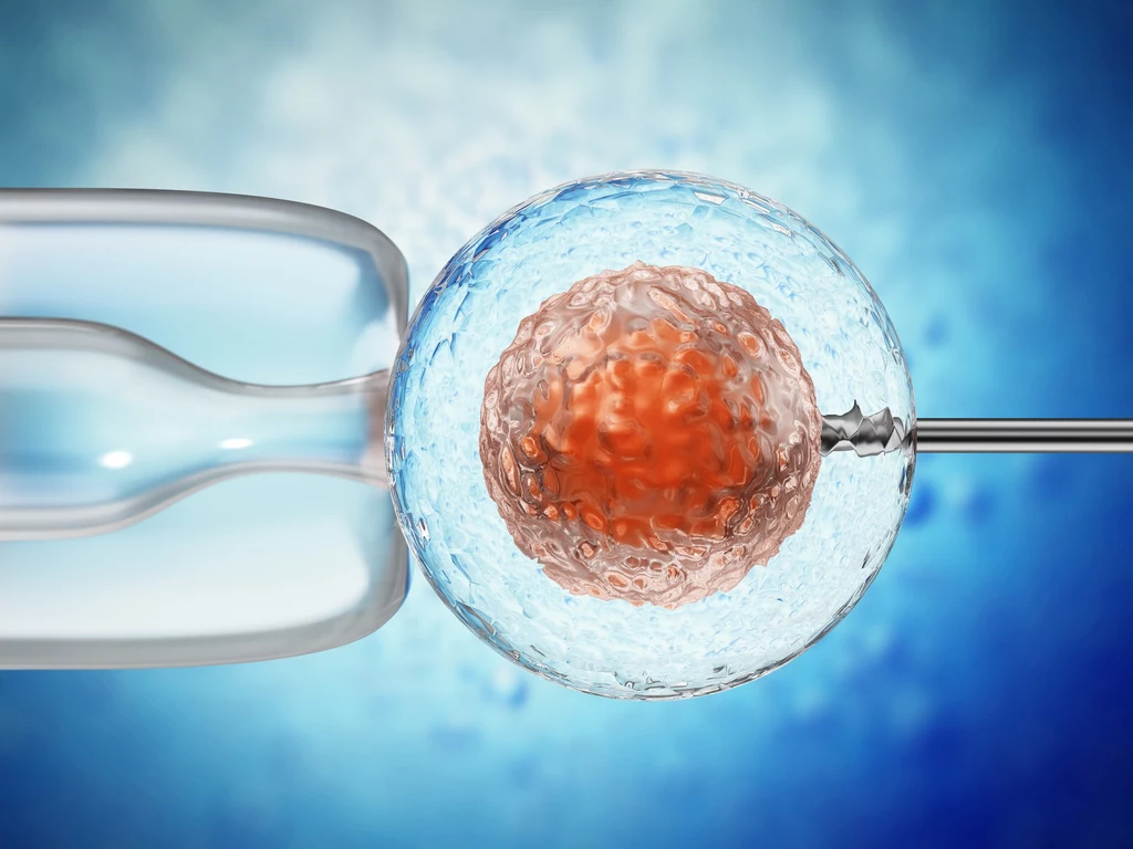 Donacja mitochondrialna działa. Wielki sukces brytyjskich lekarzy Donacja mitochondrialna działa. Wielki sukces brytyjskich lekarzy