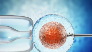 Urodziło się ośmioro wyjątkowych dzieci. Mają DNA trzech osób