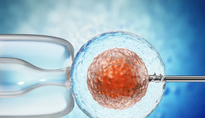Donacja mitochondrialna działa. Wielki sukces brytyjskich lekarzy