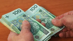 Polacy traktują PPK jako źródło dodatkowych dochodów