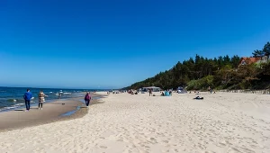 Ta plaża to perełka Mierzei. Niecałe 30 minut od Krynicy Morskiej, a na miejscu huśtawka z widokiem na morze 