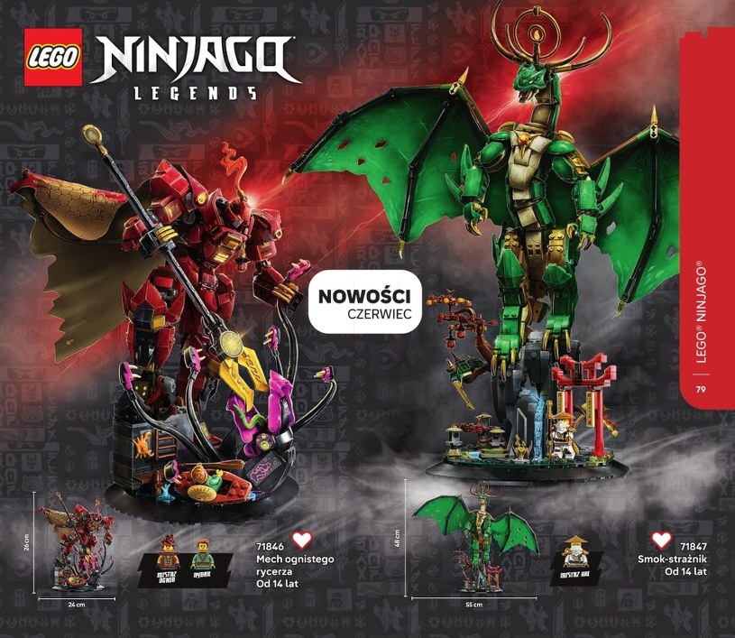 Gazetka: LEGO inspiracje 2025 - strona 79