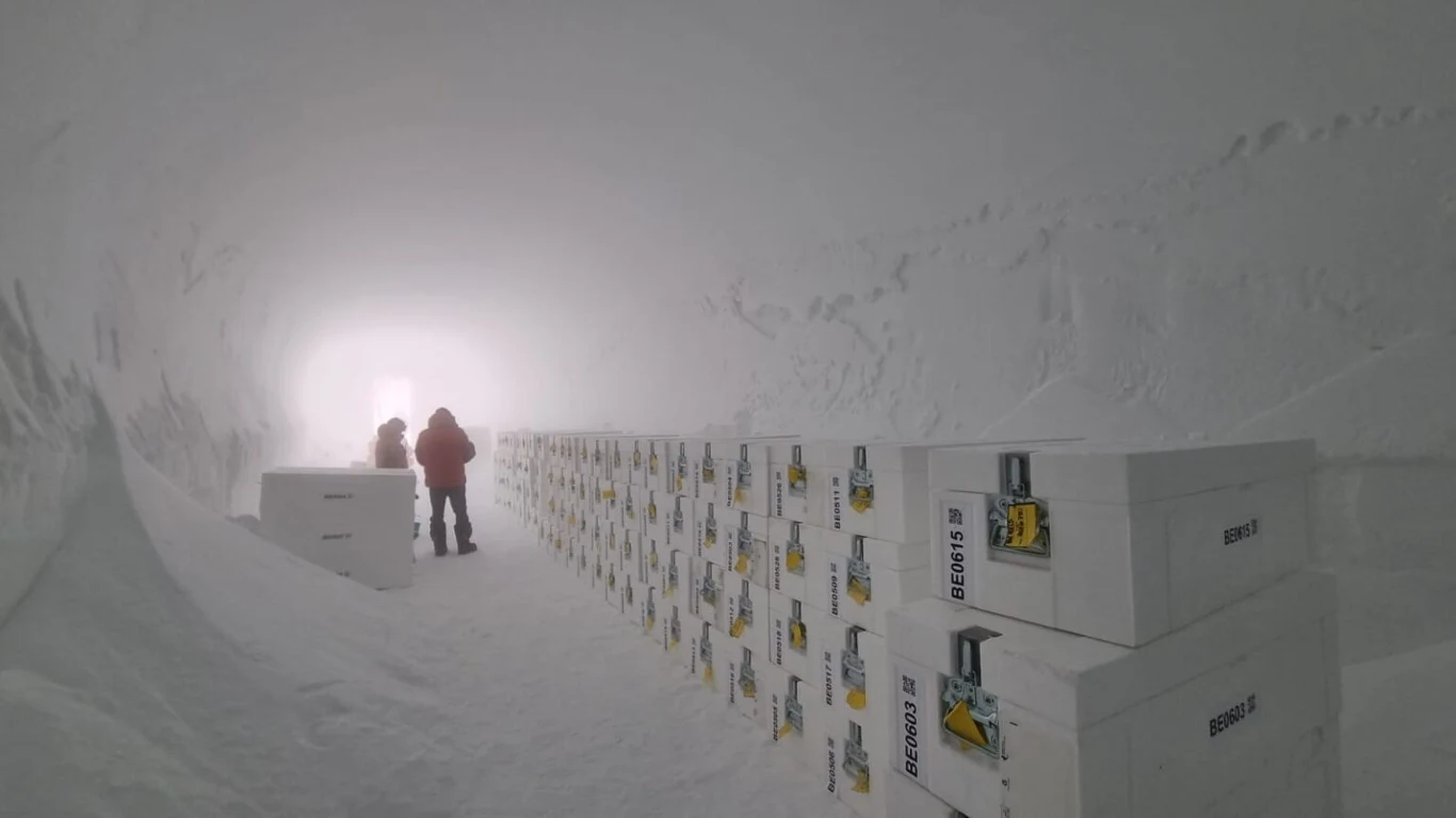 Rdzenie Beyond EPICA zbierano we Wschodniej Antarktydzie przez kilka lat /BAS Dwie osoby w kombinezonach idą przez zaśnieżony tunel, w którym po prawej stronie ustawione są rzędy białych skrzyń oznaczonych kodami i etykietami. Jasne światło widoczne jest na końcu tunelu, a wnętrze pokryte jest grubą warstwą śniegu.