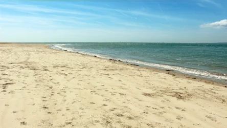 Plaża Ulinia to jedna z dzikich plaż nad Bałtykiem 