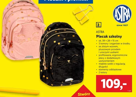 Рюкзак Astra
