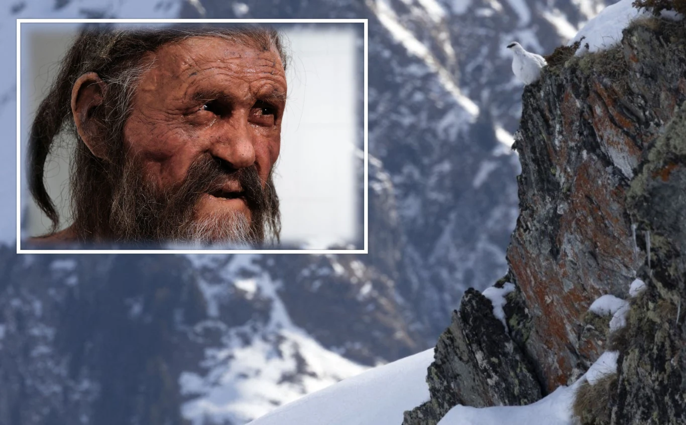 Nowe badanie Ötziego. Naukowcy odkrywają tajemnice "zimowego migranta" Starożytny mężczyzna z długimi włosami i brodą, w tle zaśnieżone, skaliste góry oraz ptak siedzący na skale.