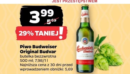 Piwo Budweiser