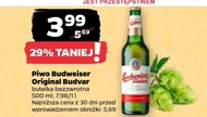 Piwo Budweiser