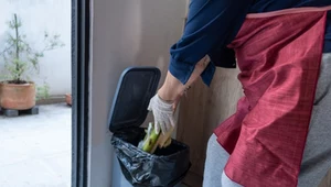 Ułóż na dnie kosza na śmieci. Zaskakujące rozwiązanie śmierdzącego problemu