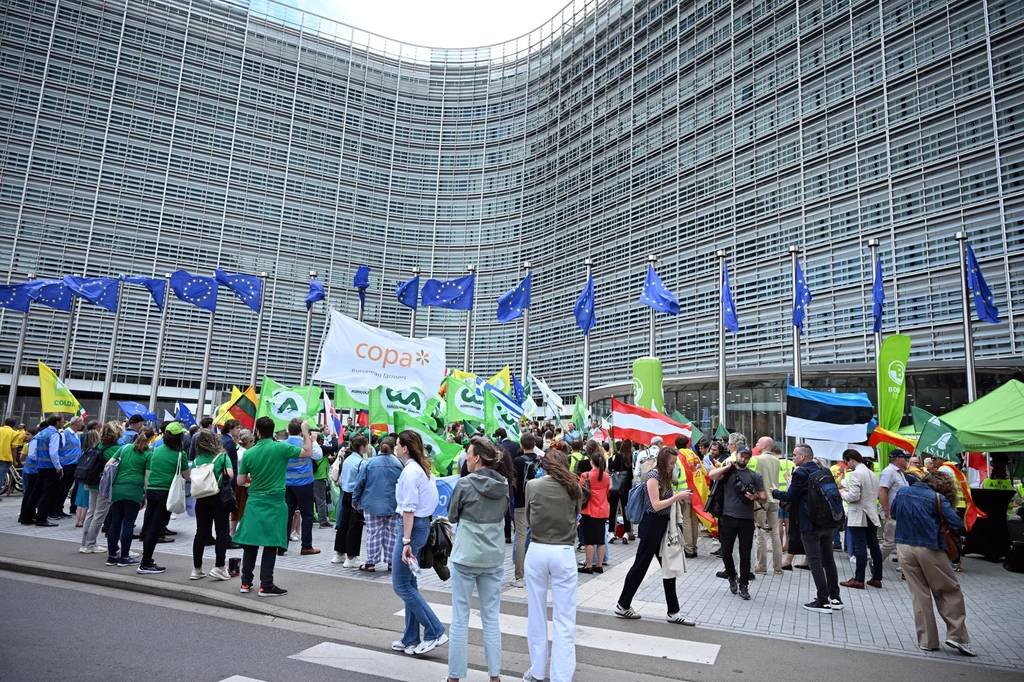 Przedstawiciele rolników demonstrują niezadowolenie przed Parlamentem Europejskim