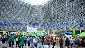 Przedstawiciele rolników demonstrują niezadowolenie przed Parlamentem Europejskim