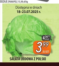 Салат Айсберг Pamapol
