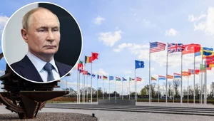 Ataki cybernetyczne na NATO. Wskazano na rosyjski ślad