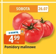 Pomidory