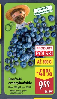 Borówki Polski