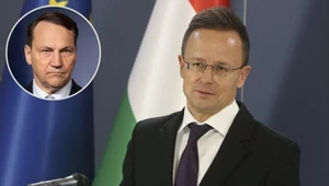 Budapeszt odpowiada Sikorskiemu. "Utracił zdrowy rozsądek" 