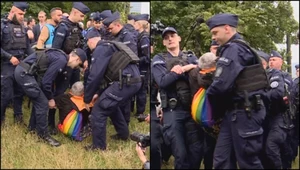 Incydent na pikiecie Konfederacji. Babcia Kasia wyniesiona przez policję