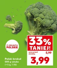 Brokuł Polski