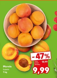 Morele