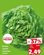 Sałata masłowa