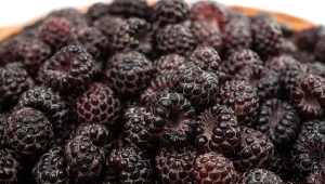 Czarne maliny to źródło wielu witamin i antyoksydantów