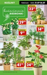 Świeżo, smacznie i oszczędnie – Biedronka