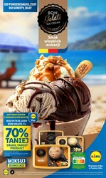 Ulubione produkty w promocji – Lidl