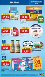 Ulubione produkty w promocji – Lidl