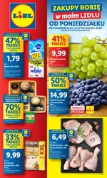 Ulubione produkty w promocji – Lidl