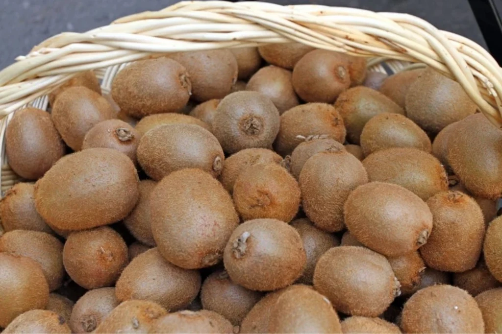 Jedz ze skórką jak jabłko albo śliwkę. Pomoże na trawienie i odporność Jedz ze skórką jak jabłko albo śliwkę. Pomoże na trawienie i odporność